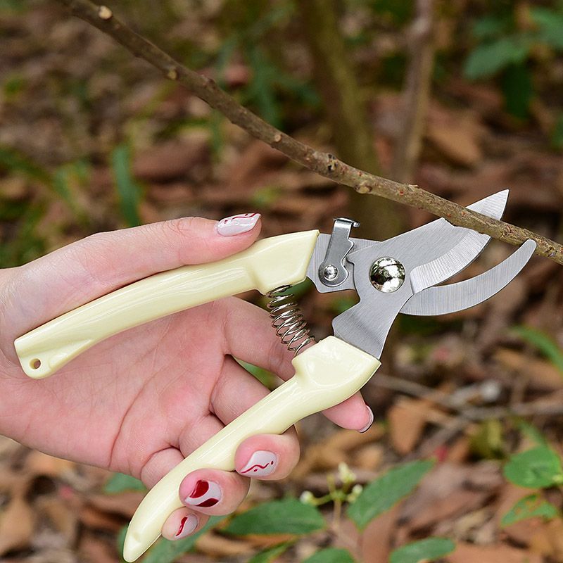 Pruning Shears - Oszczędzające Pracę Nożyce Ogrodowe, Profesjonalne Nożyce
