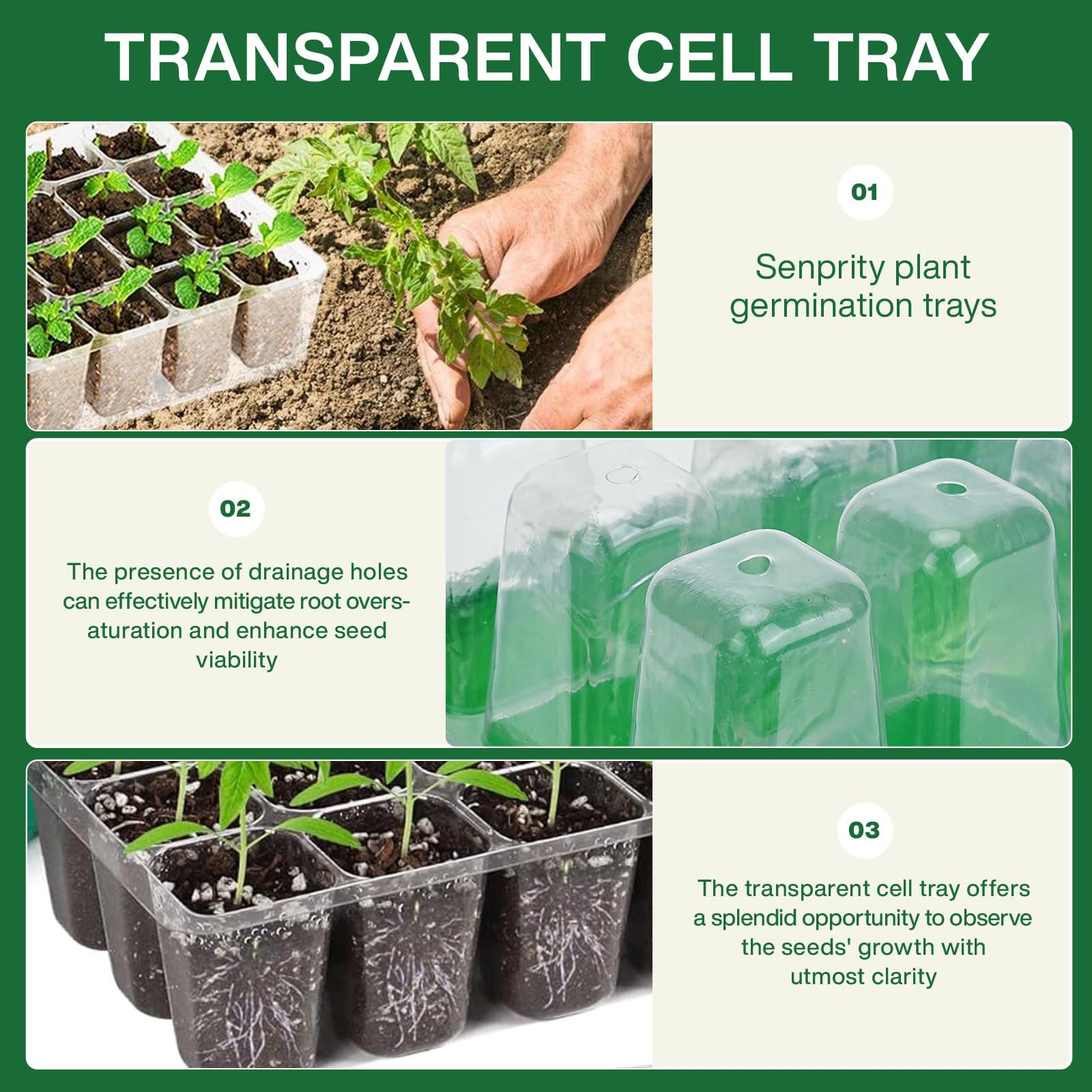 Taca do wyprawiania nasion z z – Seed Starter Tray recenzja i cena