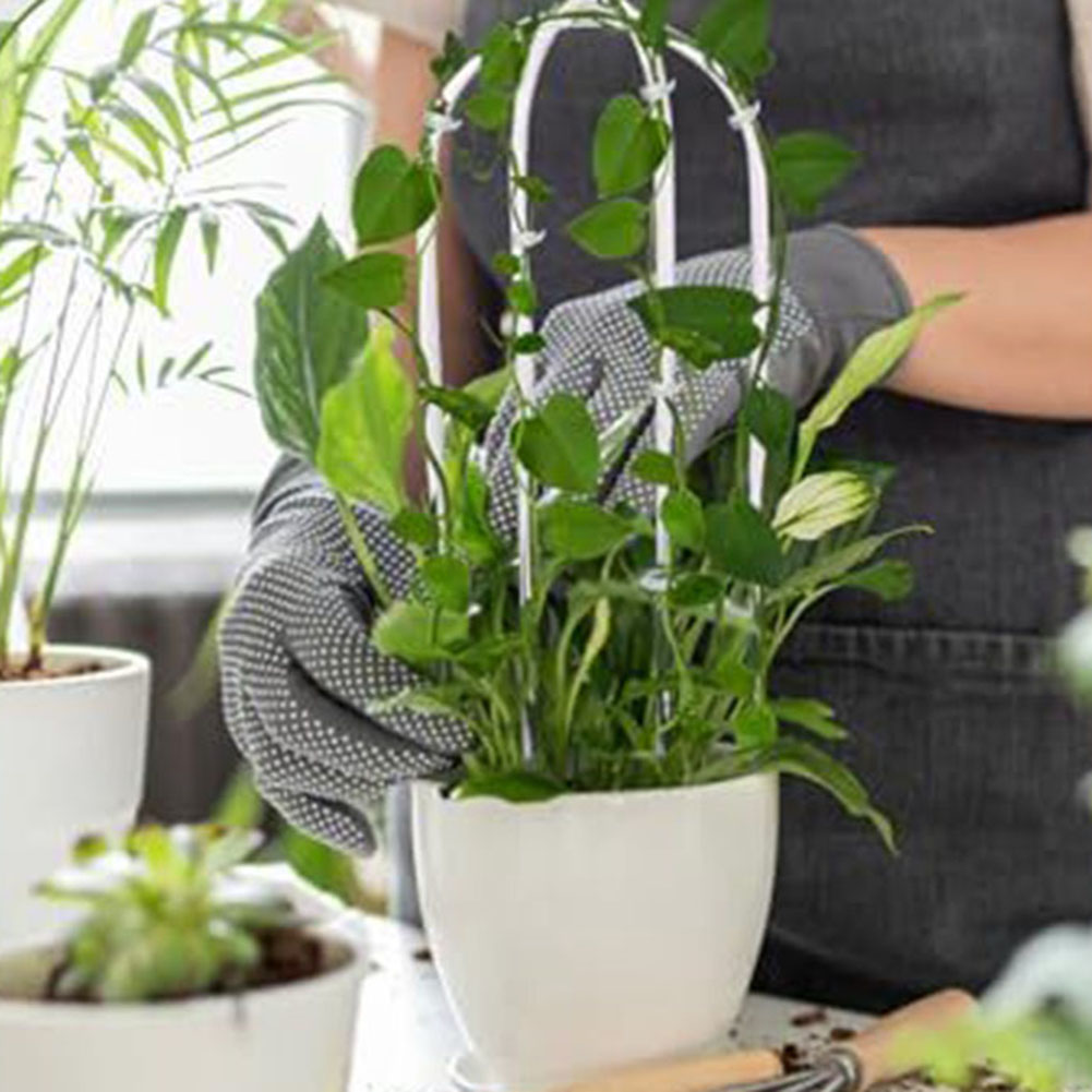 2 szt. Akrylowy stojak na rośl – Indoor Herb Garden recenzja i cena