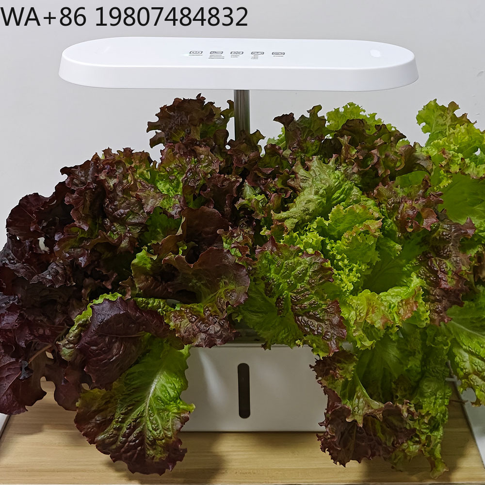 8-otworowy cichy system do upr – Hydroponic Kit recenzja i cena