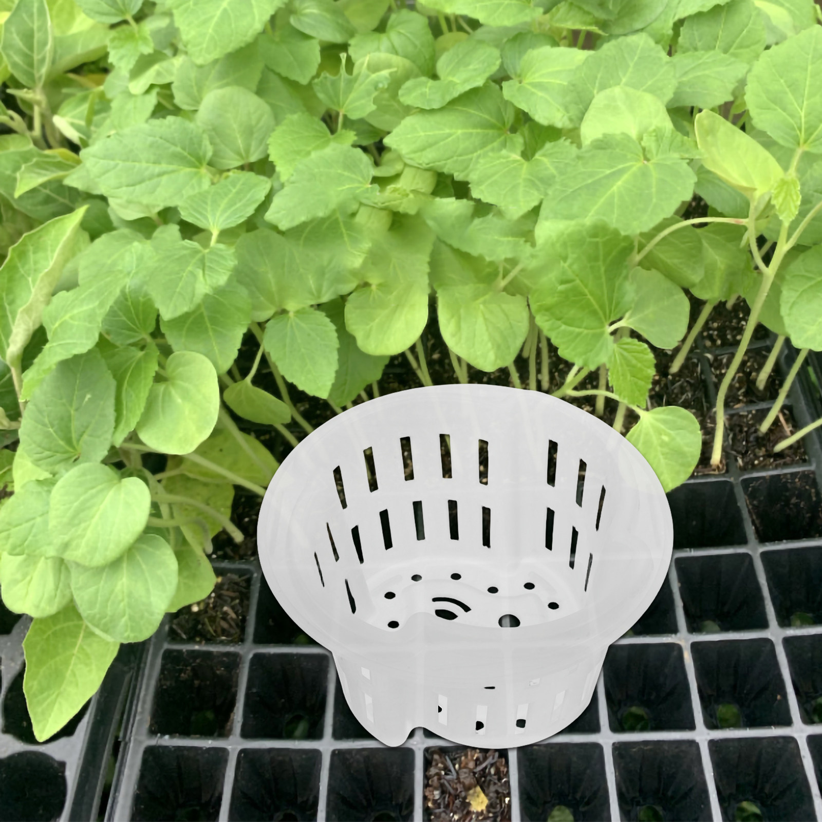 4 sztuki – pojemniki do uprawy – Plant Pot recenzja i cena