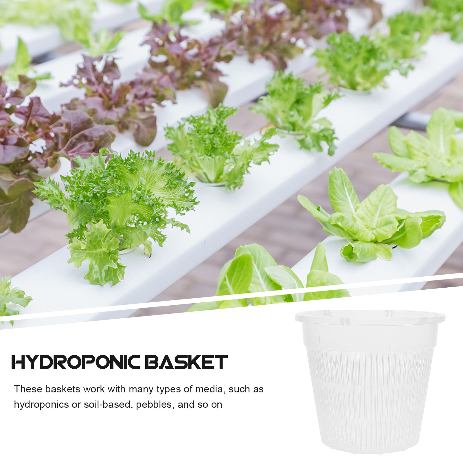 5 sztuk – plastikowe doniczki  – Plant Pot recenzja i cena