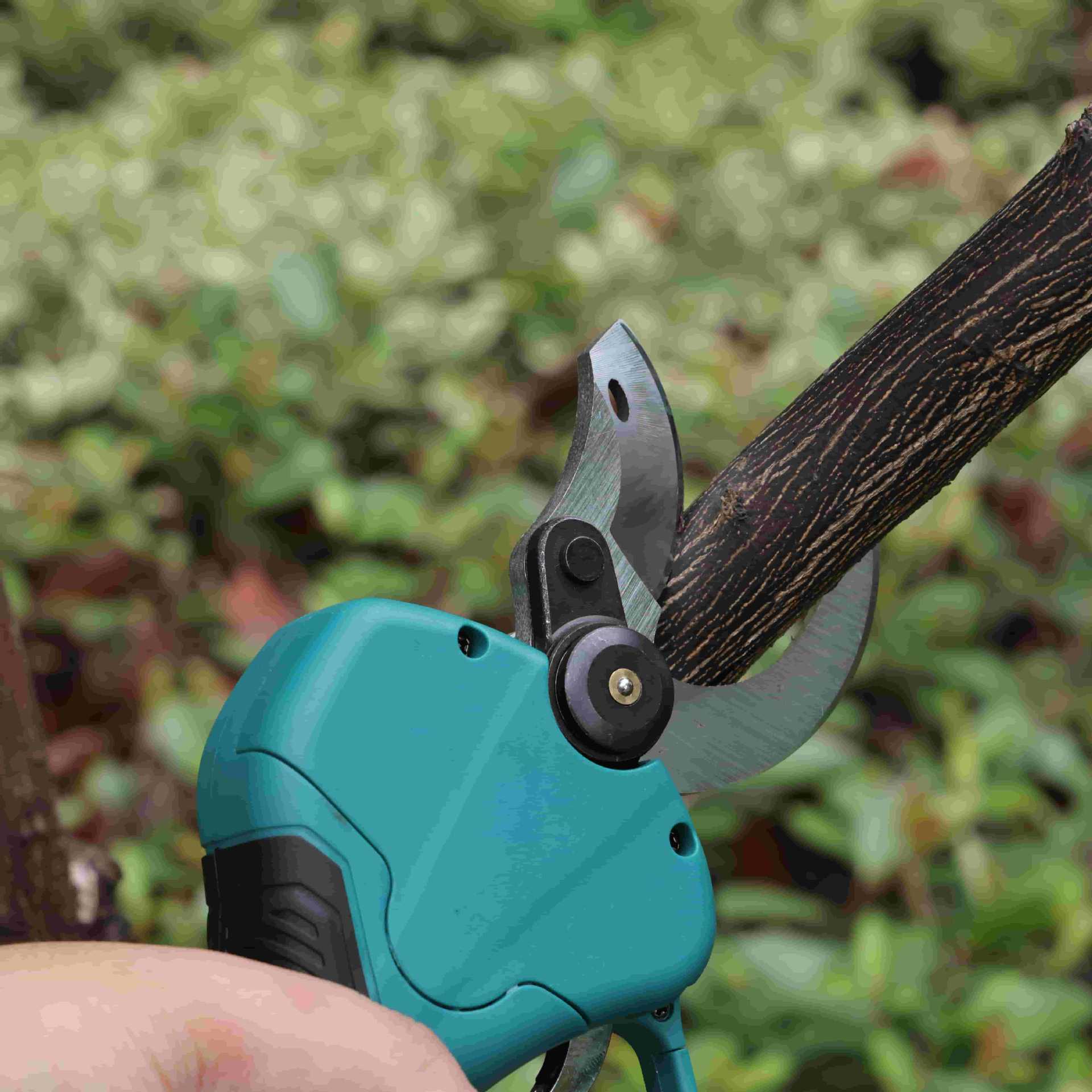Elektryczne nożyce ogrodnicze  – Pruning Shears recenzja i cena