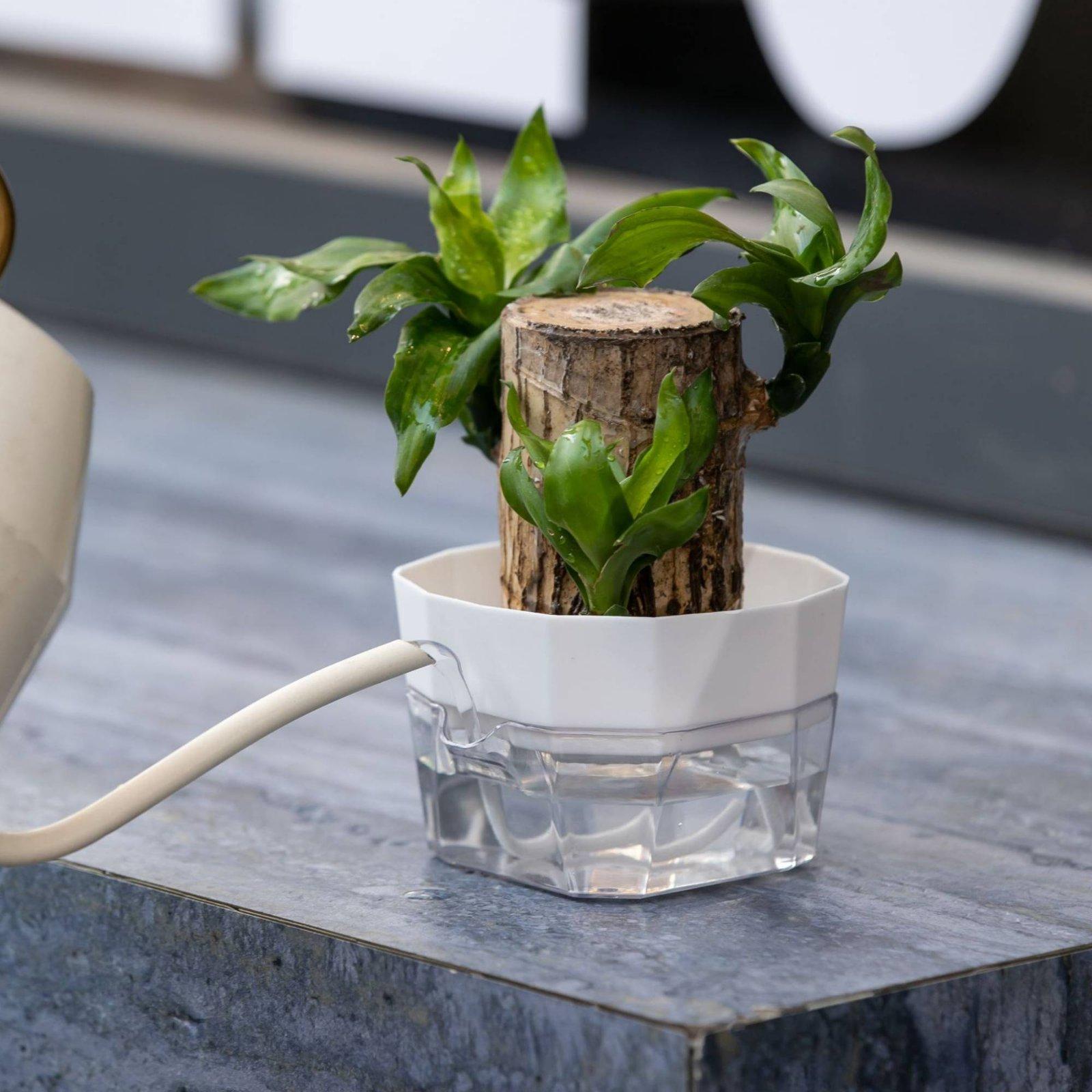 Wazon hydroponiczny dwuwarstwo – Plant Pot recenzja i cena