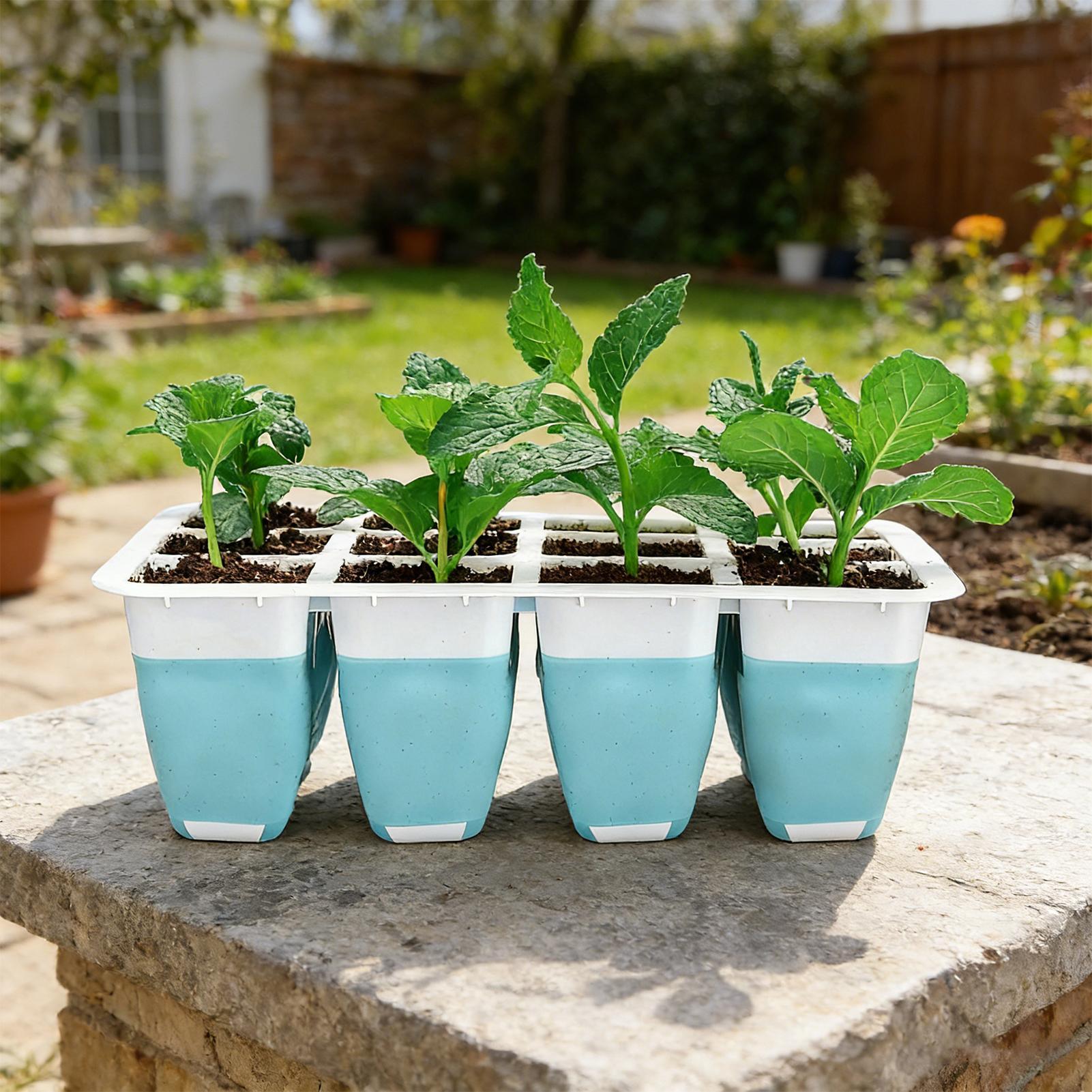 5 sztuk silikonowych tacek do  – Seed Starter Tray recenzja i cena