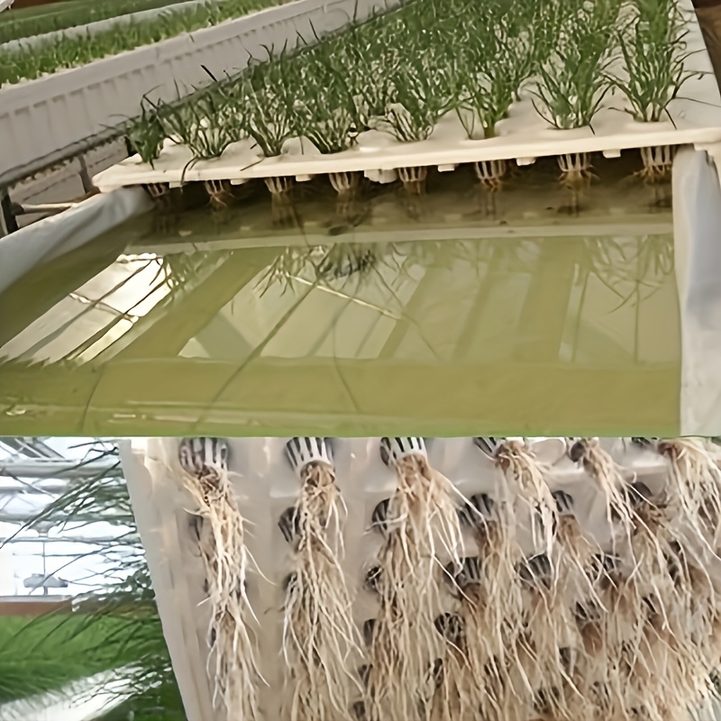 Zestaw 10 koszyków do hydropon – Seed Starter Tray recenzja i cena
