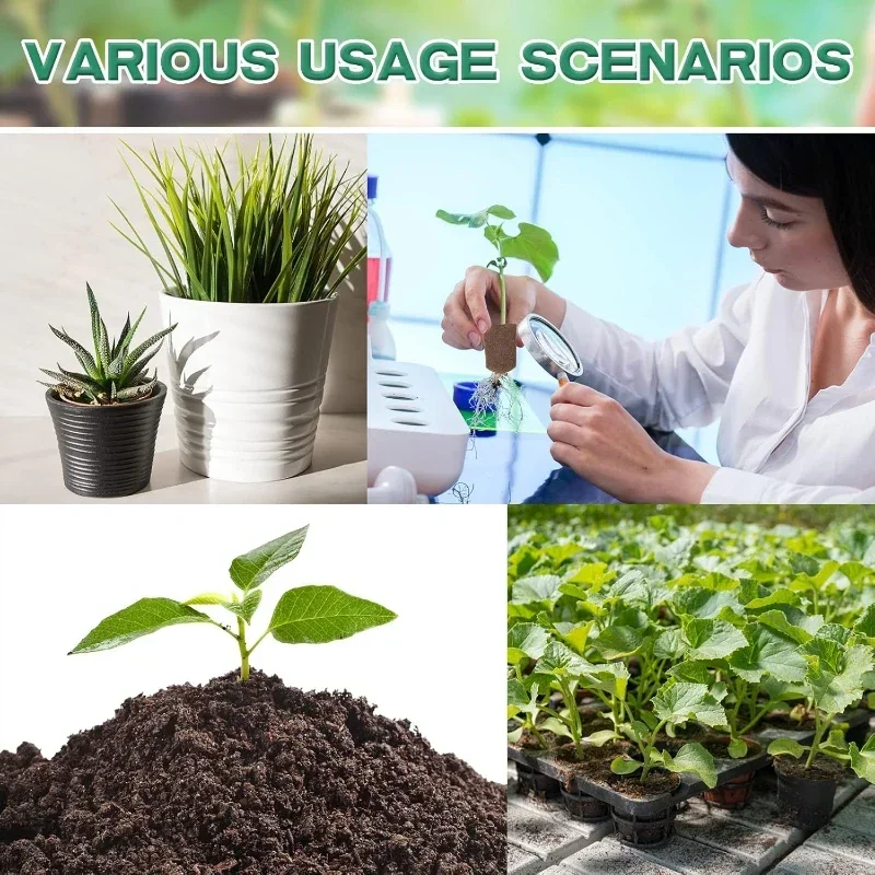Zestaw gąbek startowych do sad – Hydroponic Kit recenzja i cena