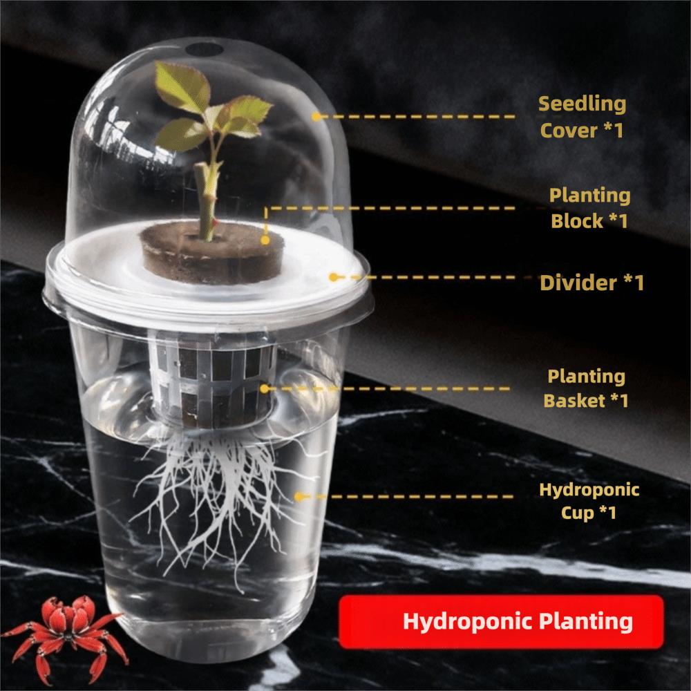1-5 szt. Przezroczyste kubki d – Seed Starter Tray recenzja i cena