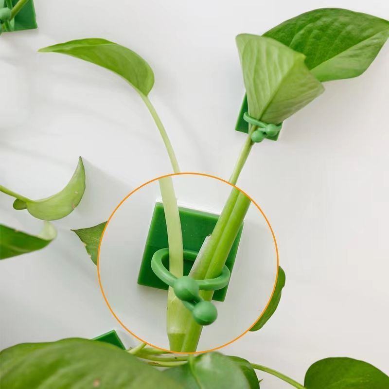 Samoprzylepne klipsy do mocowa – Indoor Herb Garden recenzja i cena