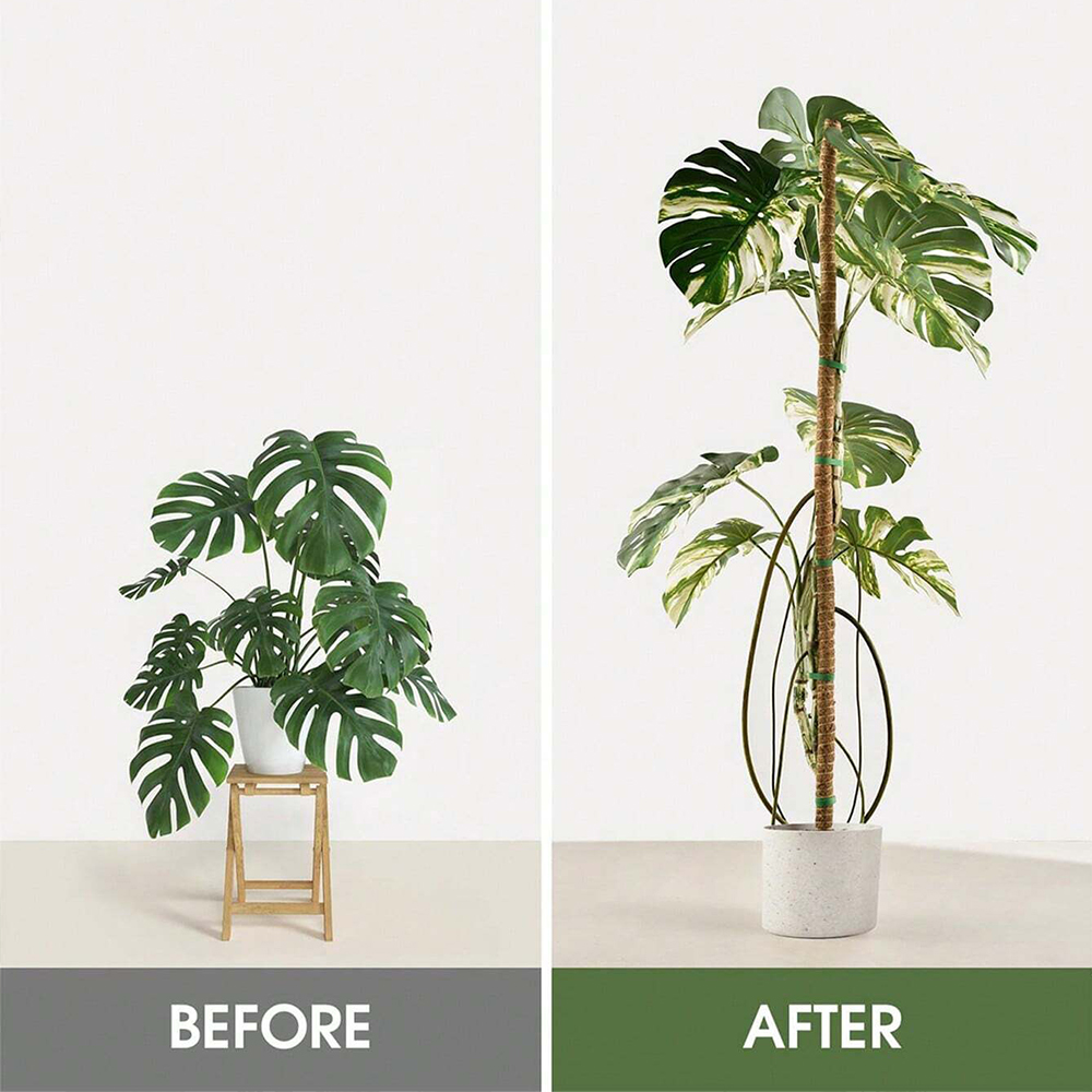 Palik z mchu dla roślin, podpó – Indoor Herb Garden recenzja i cena