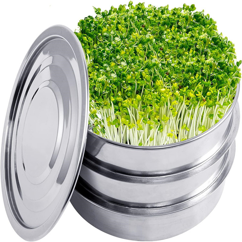 Zestaw do kiełkowania roślin z – Hydroponic Kit recenzja i cena