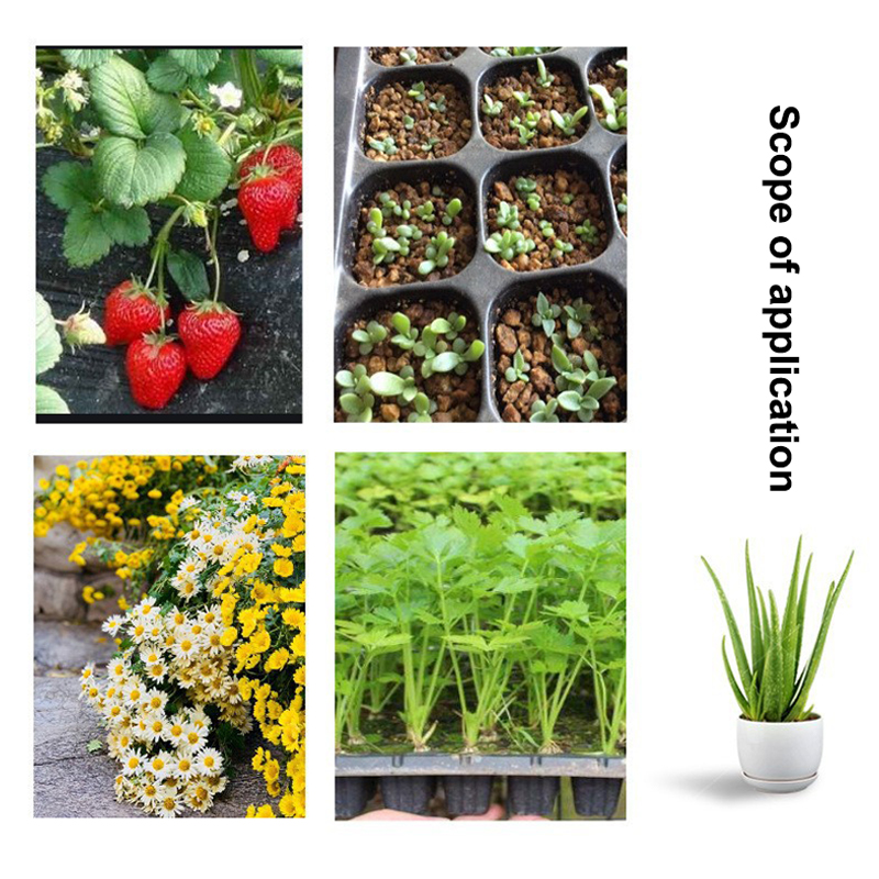 Gorące 10 szt. plastikowych ta – Seed Starter Tray recenzja i cena