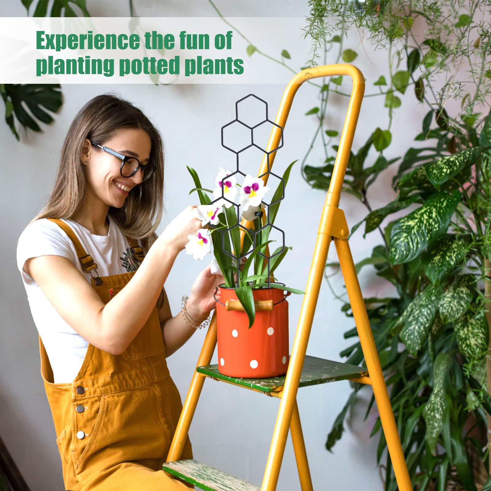 1 szt. Kratka do roślin o stru – Indoor Herb Garden recenzja i cena