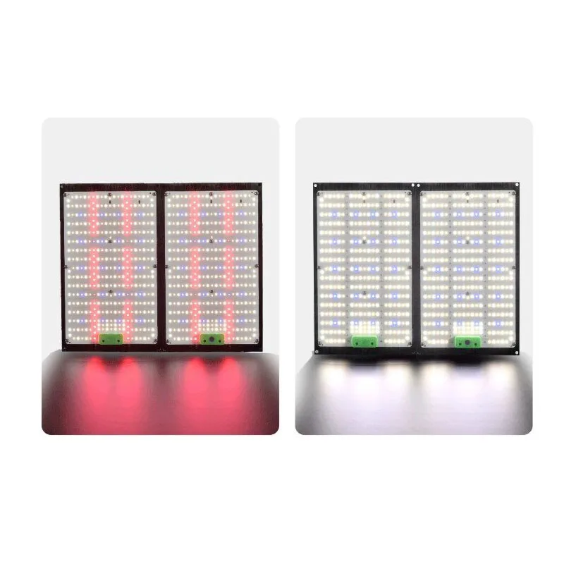 Światło LED Quantum-Board do u – Grow Light Led recenzja i cena